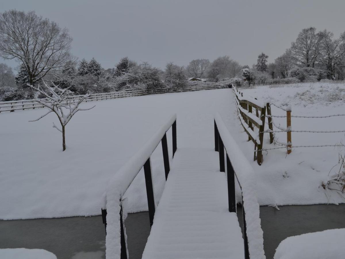 Wortwell Hall Barn Εξωτερικό φωτογραφία